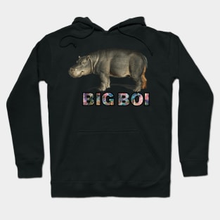 big boi hippo galaxy space text Hoodie